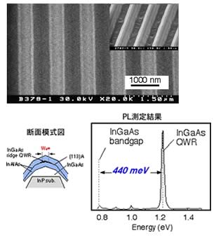 Quantum wire arrays formed by selective MBE growth