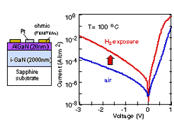 AlGaN/GaN-based Hydrogen gas sensor using Pt Schottky gate.