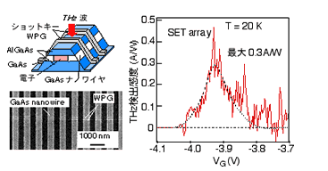 THz wave detection using quantum wire array