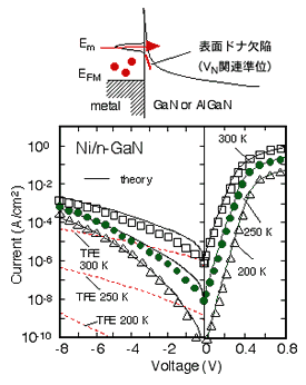 Analysis of leakage current in GaN Schottky interfaces by Thin Surface Barrier Model