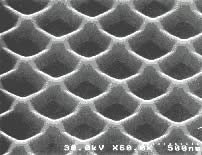 図1　MOVPE選択成長で形成した量子ドットネットワーク構造の電子顕微鏡(SEM)写真